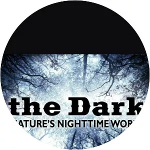 The Dark: Nature's Nighttime World - Animated series