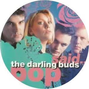 The Darling Buds - Rock band