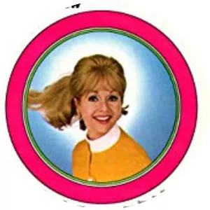 The Debbie Reynolds Show - American sitcom