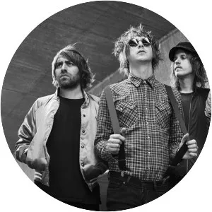 The Delta Riggs - Musical group