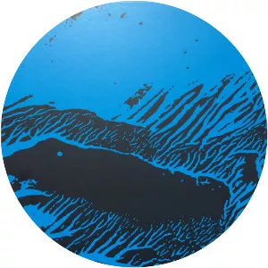 The Deontic Miracle - Musical artist