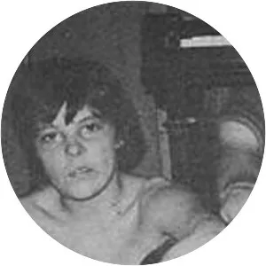 The Desperate Bicycles