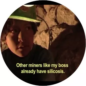 The Devil's Miner