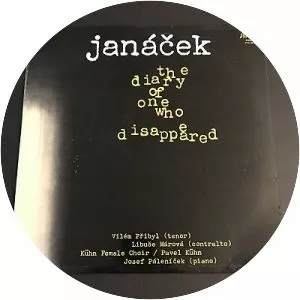 The Diary of One Who Disappeared