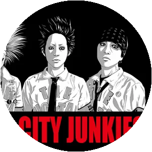 THE DIGITAL CITY JUNKIES