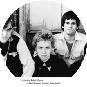 The Diodes - Rock band