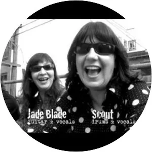 The Dishrags - Rock band