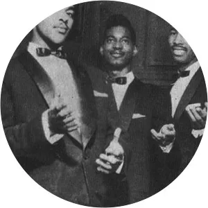 The Distants - Musical band