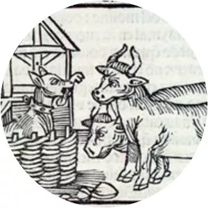 The Dog in the Manger