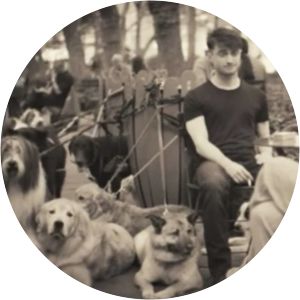 The Dog Walker Trainwreck