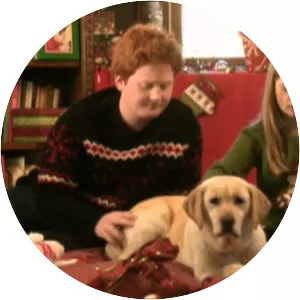 The Dog Who Saved Christmas - 2009 ‧ Television/Comedy ‧ 1h 28m