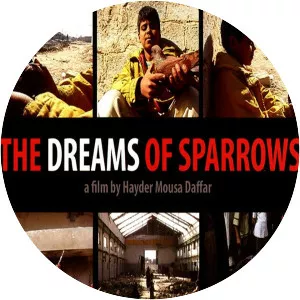 The Dreams of Sparrows