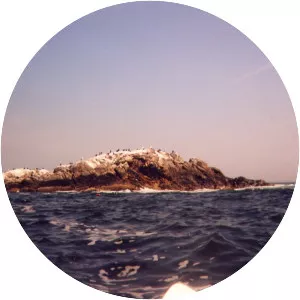 The Dry Salvages - Poem by T. S. Eliot