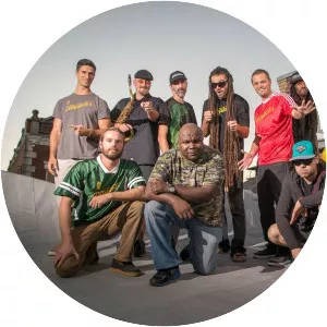 The Dubplates - Musical artist