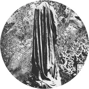 The Dusk in Us - Studio album by Converge