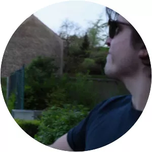 The Düsseldorf Düsterboys - Musical artist