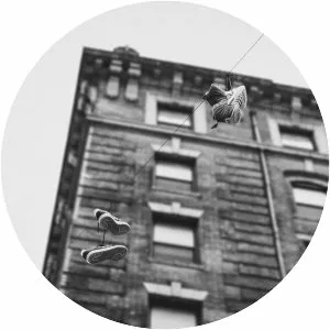 The Easy Truth photograph