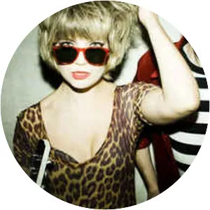 The Echo Vamper - Musical group