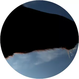 The Edge of Dreaming