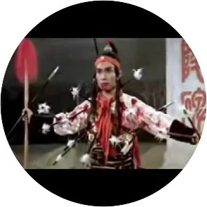 The Eight Diagram Pole Fighter