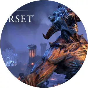 The Elder Scrolls Online