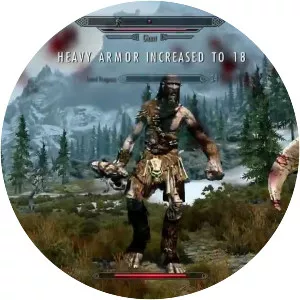 The Elder Scrolls V: Skyrim - Video game