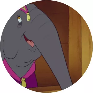 The Elephant Matriarch