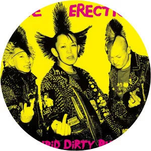 The Erections
