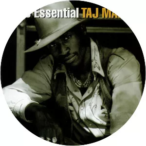 The Essential Taj Mahal