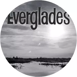 The Everglades