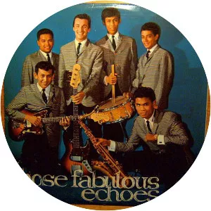 The Fabulous Echoes