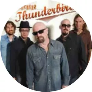 The Fabulous Thunderbirds - Rock band