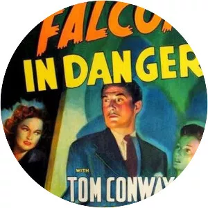 The Falcon In Danger