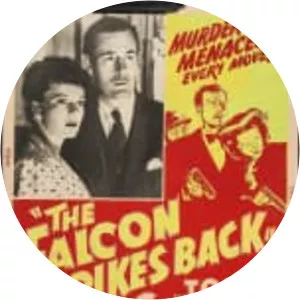 The Falcon Strikes Back