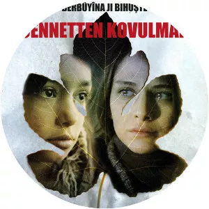 The Fall from Heaven (Cennetten Kovulmak)