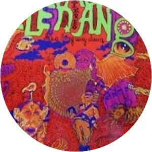 The Fallen Angels - Rock band