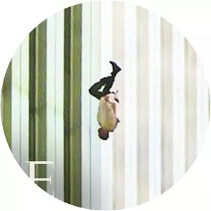 The Falling Man - Photograph by Richard Drew