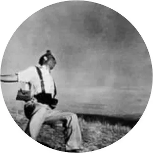 The Falling Soldier - 