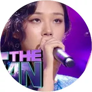 The Fan - Video game