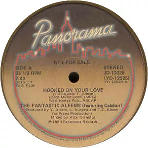 The Fantastic Aleems - Musical group