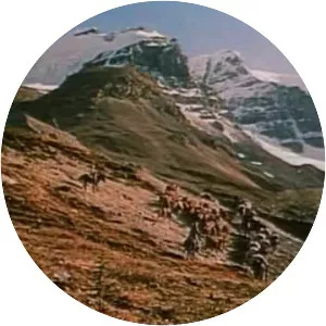 The Far Country - 1954 ‧ Action/Romance ‧ 1h 37m