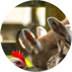 The Farmers' Country Showdown - TV program