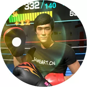 The Fastest Fist - Video game