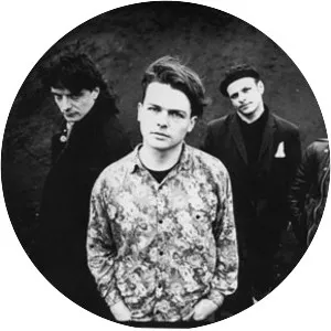 The Fat Lady Sings - Rock band