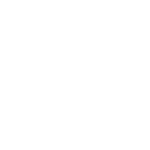 The Federalist - Website