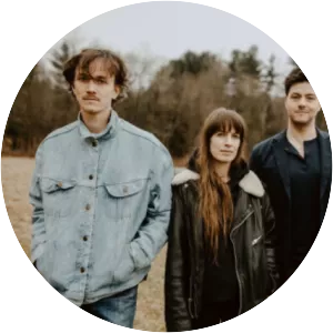 The Felice Brothers - Rock band