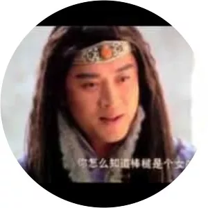 The Female Assassins in the Palace