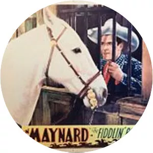 The Fiddlin' Buckaroo