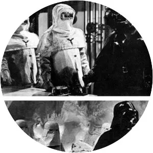 The Fighting Devil Dogs