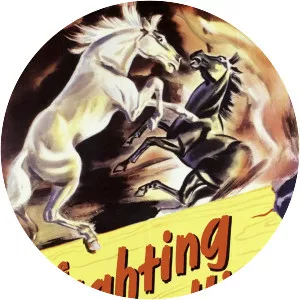 The Fighting Stallion